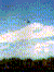 122-10.gif (2525 oCg)